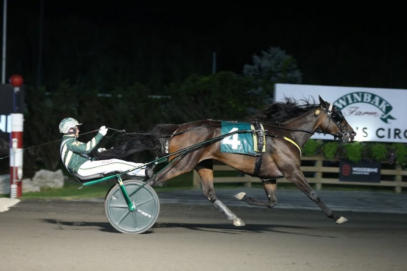 Leading Mohawk owner Brad Grant sends out six Breeders Crown finalists