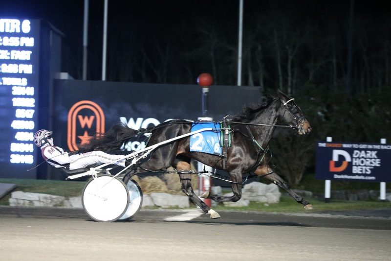 It's a carbon copy for Awesome Hill and Doug McNair as they capture the second leg of the Niagara Pacing Series at Woodbine Mohawk Park on December 17, 2021. (New Image Media)