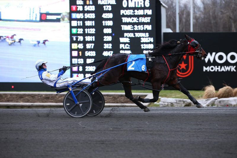 Century Hannibal, with driver James MacDonald at the helm, cruised to a two length victory in the second leg of the Valedictory Series at Woodbine Mohawk Park on December 26, 2021. (New Image Media)