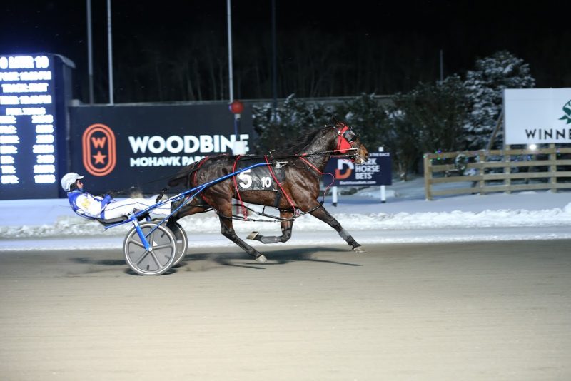 Century Hannibal dominated the first leg of the Valedictory Series at Woodbine Mohawk Park on December 18, 2021 with James MacDonald in the sulky. (New Image Media)