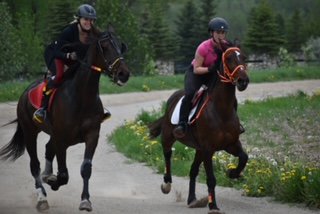 Sarah Cuthbertson takes the adopted West Grey Bay for a group ride. Westie was adopted from Ontario Standardbred Adoption Society. (Supplied)