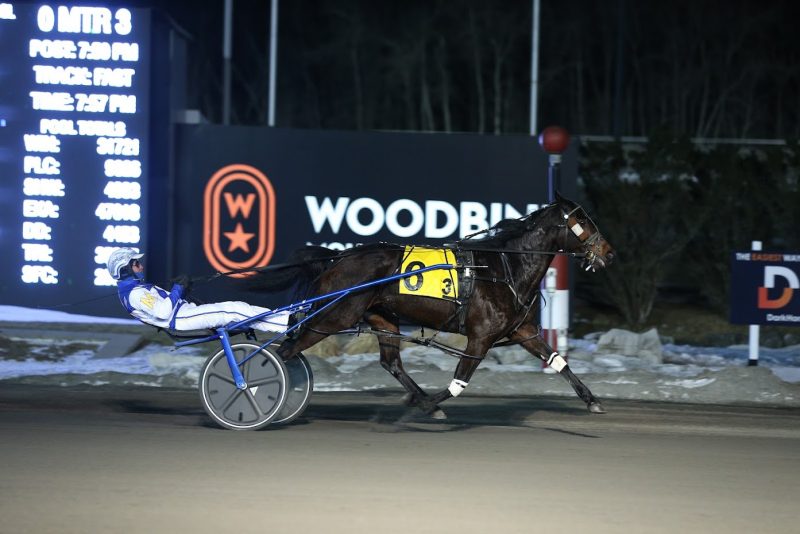 So Much More notching her third consecutive Preferred victory at Woodbine Mohawk Park on March 4, 2022. (New Image Media)
