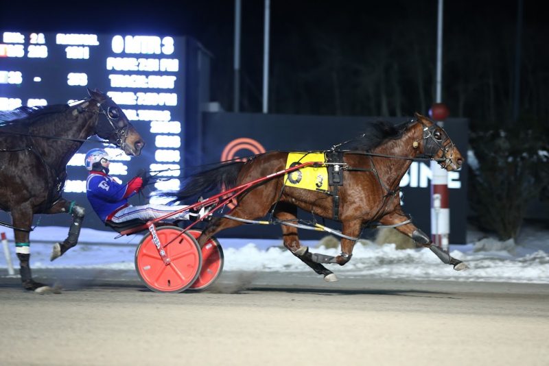Uhtred, trained by Carmen Auciello, winning the Preferred on February 25, 2022 at Woodbine Mohawk Park. (New Image Media) 