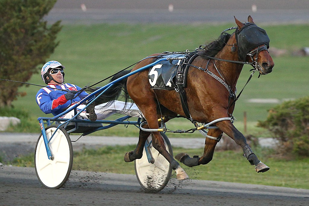 SBOA Eliminations Contested At Woodbine Mohawk Park - Woodbine Mohawk Park