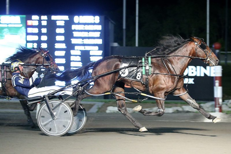 Stonebridge Helios winning last Saturday's SBOA Stakes. 