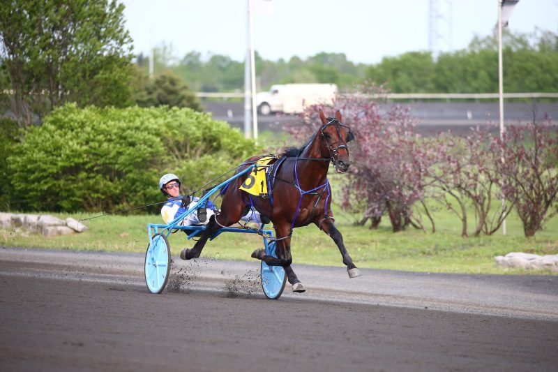 Greatest Ending and driver James MacDonald winning on May 21 at Woodbine Mohawk Park. 