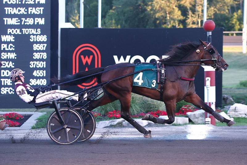 Osceola winning an OSS Gold division on August 12 at Woodbine Mohawk Park.
