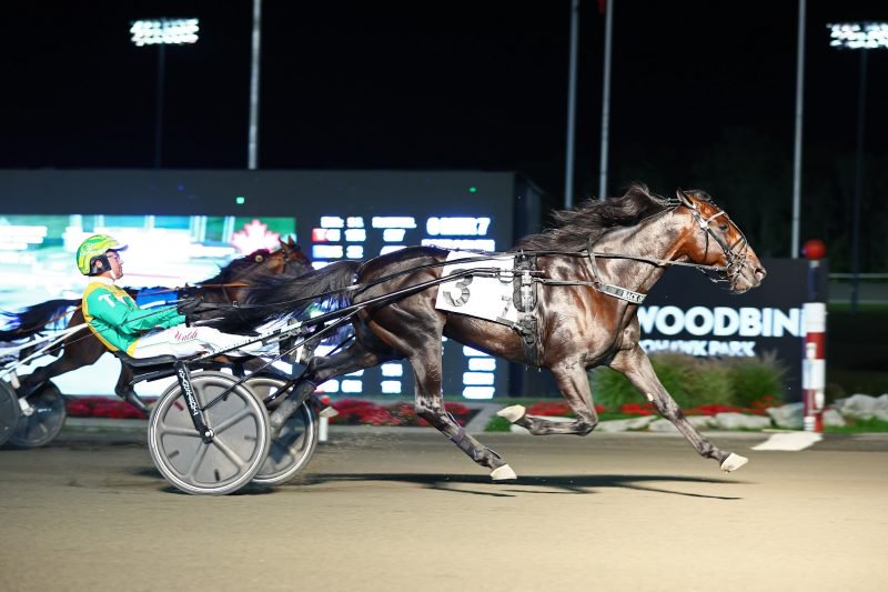 Back Of The Neck and Tim Tetrick winning the Maple Leaf Trot. 