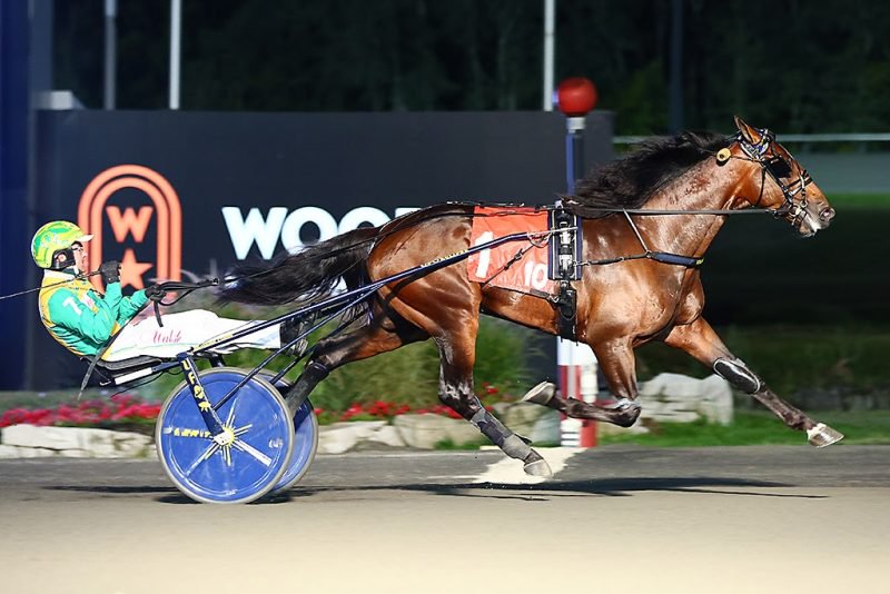 Oh Well and driver Tim Tetrick winning the Mohawk Million on Saturday at Woodbine Mohawk Park (New Image Media)
