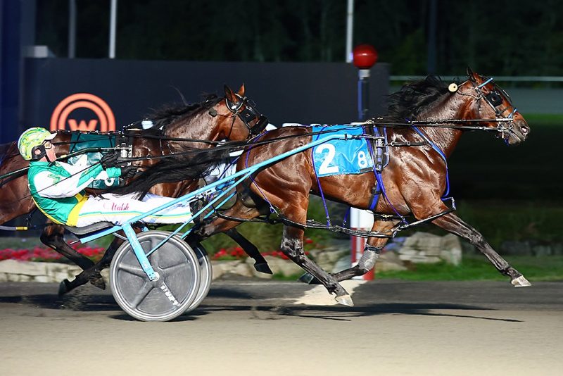 Stockade Seelster and driver Jody Jamieson winning the Metro Pace Stakes on Saturday at Woodbine Mohawk Park (New Image Media)