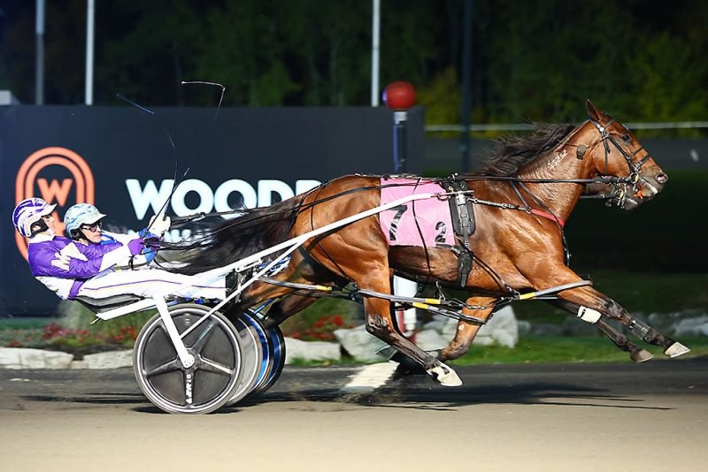 Test of Faith and driver Dave Miller winning the Open Mare Pace Breeders Crown Elimination on Saturday October 22 at Woodbine Mohawk Park (New Image Media)