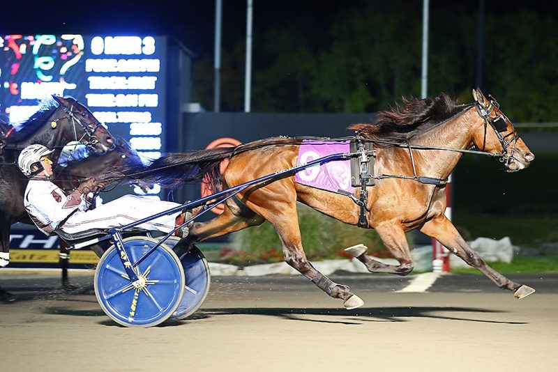 Joviality S and driver Brian Sears winning the 3 Year Old Filly Trot Breeders Crown Elimination on Saturday October 22 at Woodbine Mohawk Park