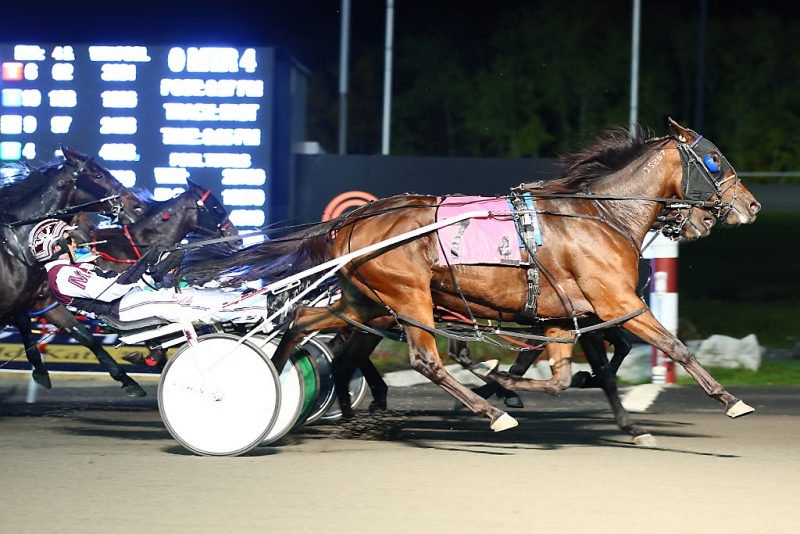 Grace Hill and driver Doug McNair winning the Open Mare Pace Breeders Crown Elimination on Saturday October 22 at Woodbine Mohawk Park (New Image Media)