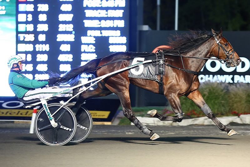 A Special Filly In Breeders Crown Elim For Rookie Trotters