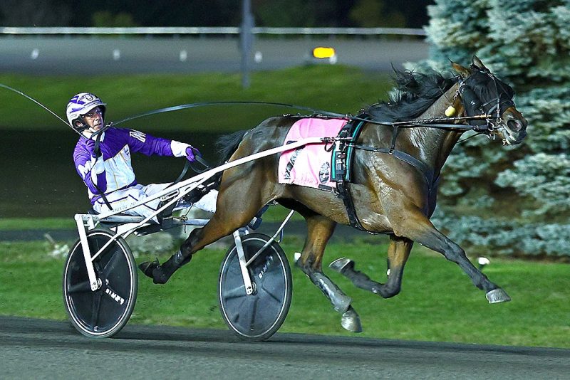 Double Deceiver and driver Dave Miller winning the 3 Year Old Colt Trot Breeders Crown Elimination at Woodbine Mohawk Park (New Image Media)