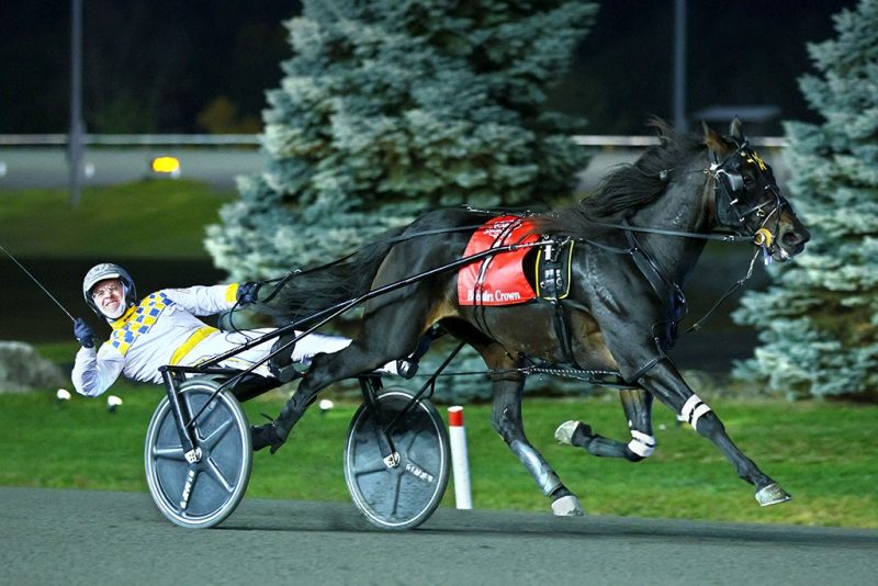 King Of The North and driver Mark MacDonald winning the 3 year old Colt Trot Breeders Crown final (New Image Media)