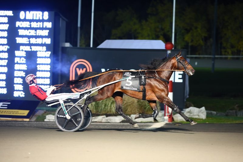 Ecurie D DK ties stakes record in Breeders Crown Open Trot Championship