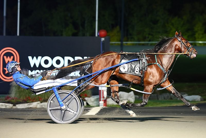 Pebble Beach and Bythemissal skip to impressive scores in their Breeders Crown elims