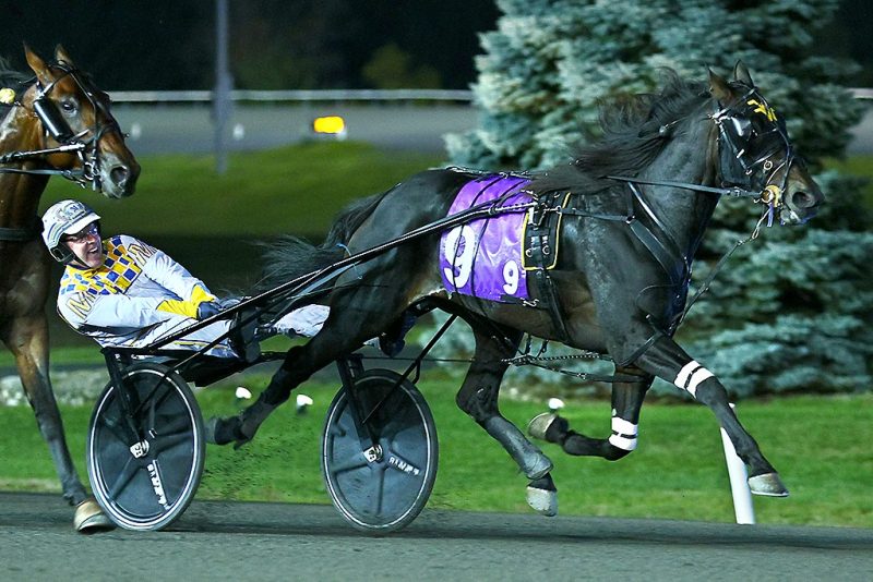 King of the North and driver Mark MacDonald winning the 3 Year Old Colt Trot Breeders Crown Elimination at Woodbine Mohawk Park (New Image Media)