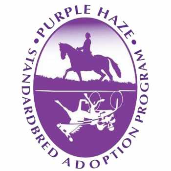 Purple Haze Standardbred Adoption Program