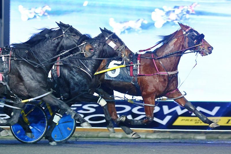 Saulsbrook Victor (#5) prevailed in Saturday's $34,000 Preferred Pace.