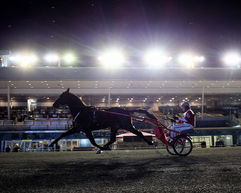 Bulldog Hanover and trainer Jack Darling under the lights one final time at Woodbine Mohawk Park.