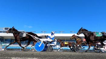 Woodbine introduces New Holland Pacing & Trotting Series