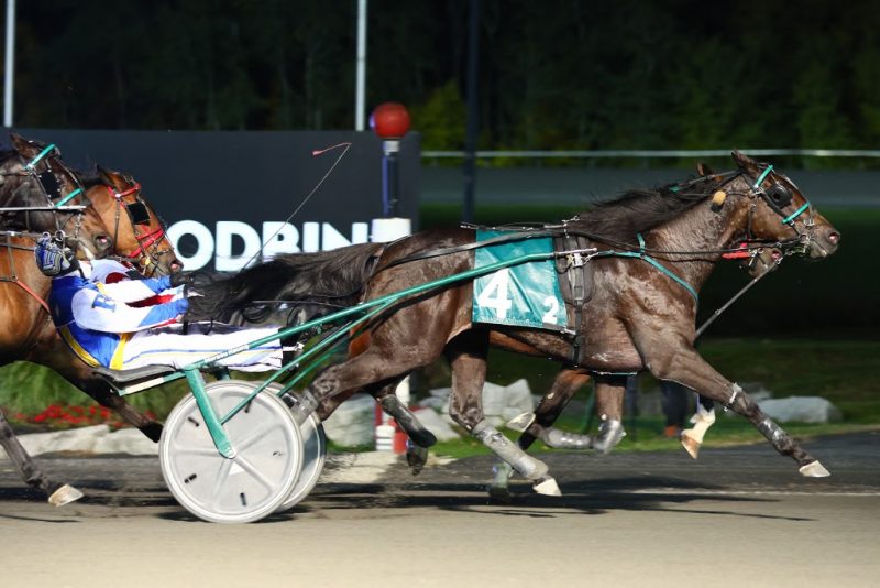 DWS Point Man and driver Louis-Philippe Roy winning the OSS Super Final for 2-year-old trotters on October 15, 2022 at Woodbine Mohawk Park (New Image Media)