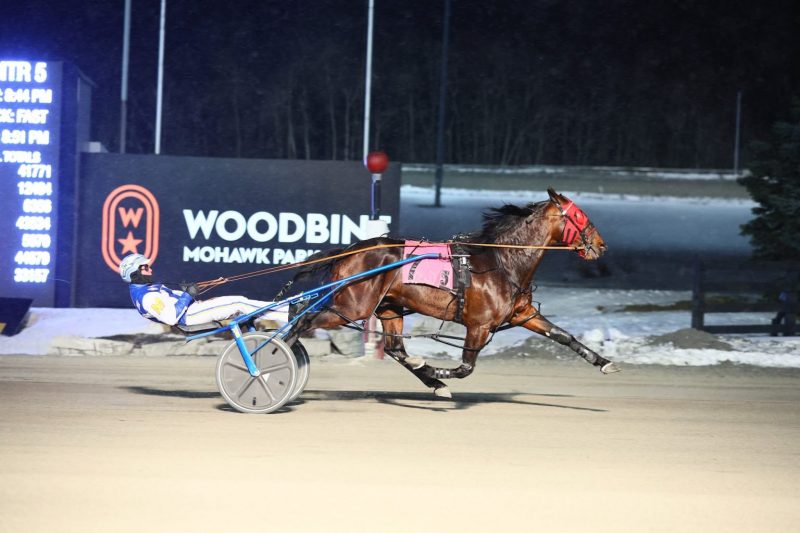 Nautical Hanover winning the second leg of the New Holland Pacing Series. (New Image Media)