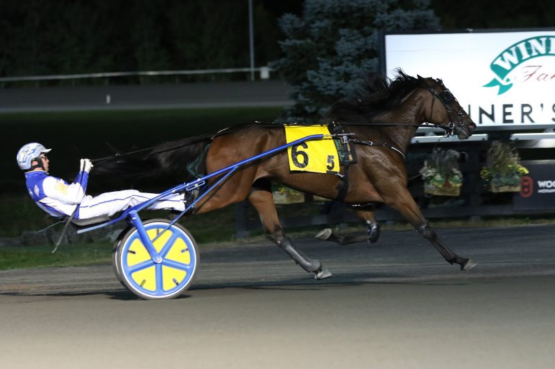 Adare Castle and driver James MacDonald winning on October 6, 2022 at Woodbine Mohawk Park (New Image Media)