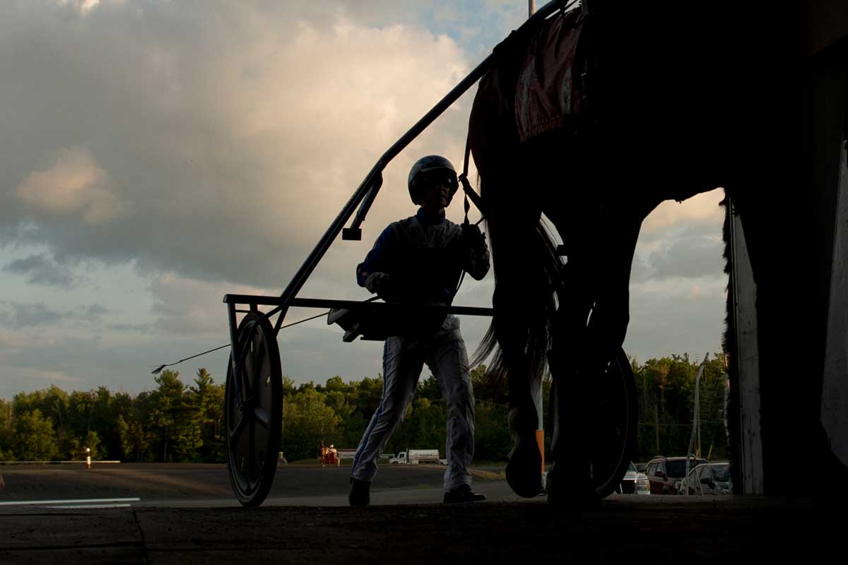 A driver at the Canadian Trotting Classic