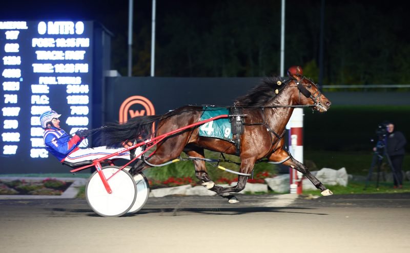 Cold Creek Queso and driver Sylvain Filion winning on October 15, 2022 at Woodbine Mohawk Park (New Image Media)
