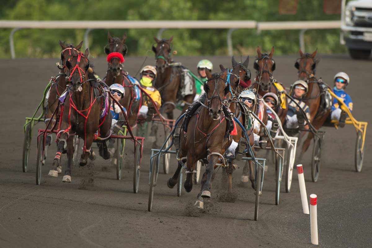 Pacers in action at the Mero Pace at Woodbine Mohawk Park