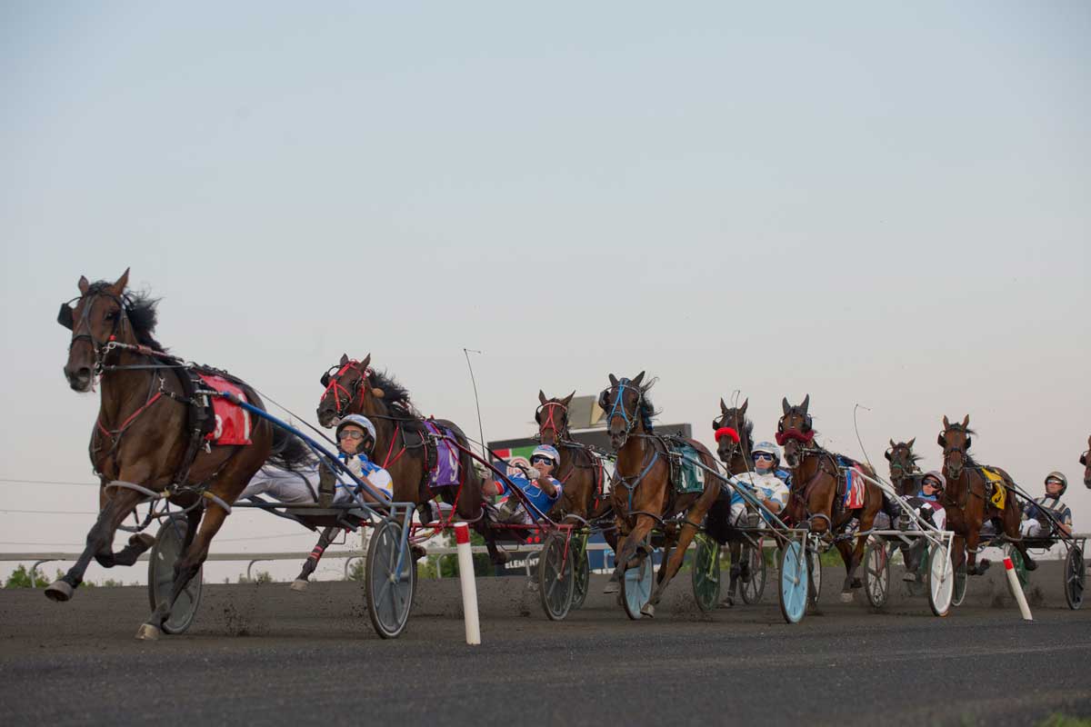 Contenders competing at the Mero Pace at Woodbine Mohawk Park
