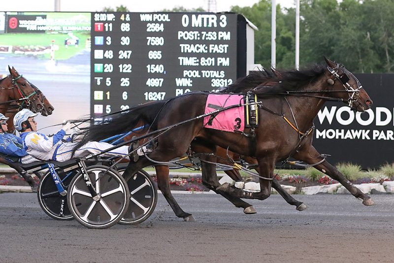 ilver Label and driver James MacDonald winning on June 11, 2022 at Woodbine Mohawk Park (New Image Media)