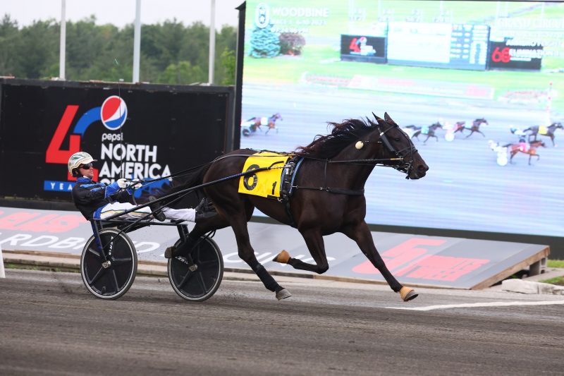Raised by Lindy and driver Yannick Gingras winning the first Armbro Flight Elimination on June 10, 2023 at Woodbine Mohawk Park (New Image Media)