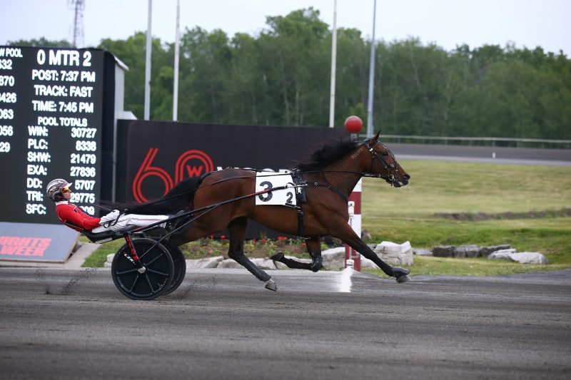 Bella Bellini and driver Dexter Dunn winning the second Armbro Flight Elimination on June 10, 2023 at Woodbine Mohawk Park (New Image Media)