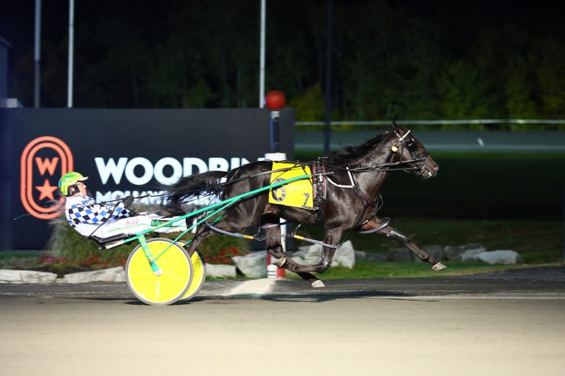 Confederate winning an elimination for the 2022 Breeders Crown.