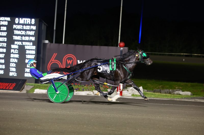 Abuckabett Hanover and driver Andrew McCarthy winning the Mohawk Gold Cup (New Image Media)