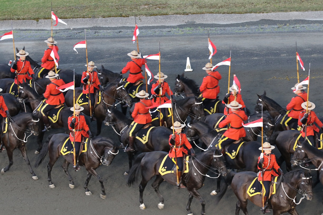 RCMP Musical Ride At Woodbine Mohawk Park Image