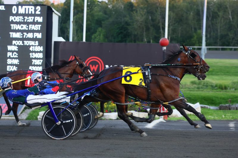 Genie Hanover and driver Todd McCarthy winning the fist division of the Eternal Camnation on August 26, 2023 at Woodbine Mohawk Park (New Image Media)