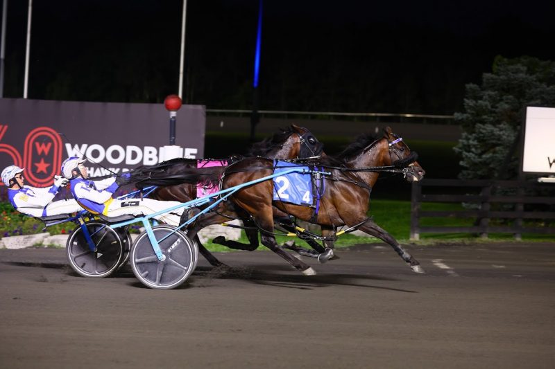 Tattoo Artist and driver Louis-Philippe Roy winning the first Canadian Pacing Derby Elimination on August 26, 2023 at Woodbine Mohawk Park (New Image Media)