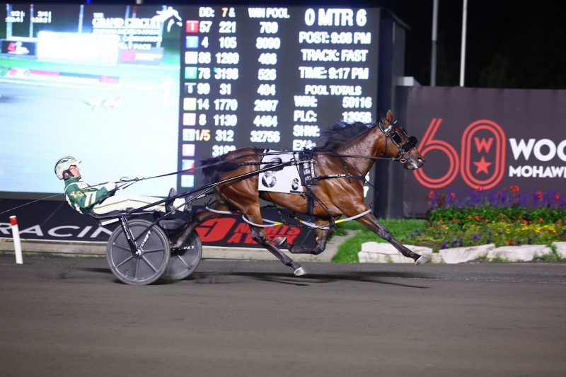 Caviart Belle and driver Yannick Gringas winning the second division of the Eternal Camnation on August 26, 2023 at Woodbine Mohawk Park (New Image Media)
