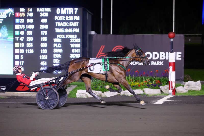 Tandem Hanover and driver Dexter Dunn winning the second Peaceful Way Elimination on August 19, 2023 at Woodbine Mohawk Park (New Image Media)