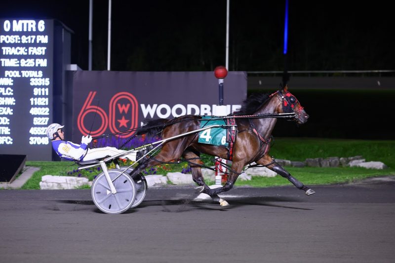 Its a Love Thing and driver James MacDonald winning the second Champlain division for 2-year-old fillies on September 9, 2023 at Woodbine Mohawk Park (New Image Media)