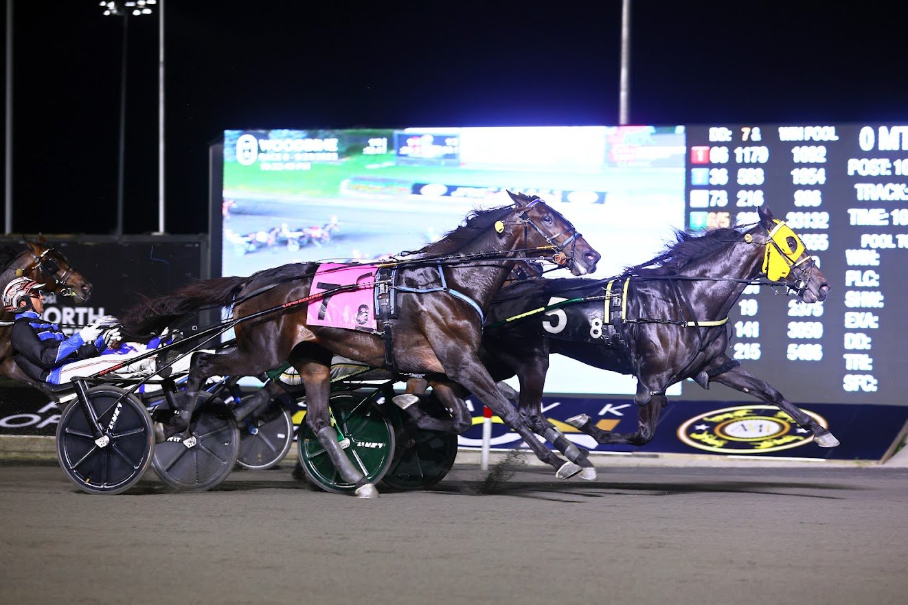 Celebrity Bambino and driver Yannick Gringas winning the Canadian Trotting Classic Final on September 23, 2023 at Woodbine Mohawk Park (New Image Media)