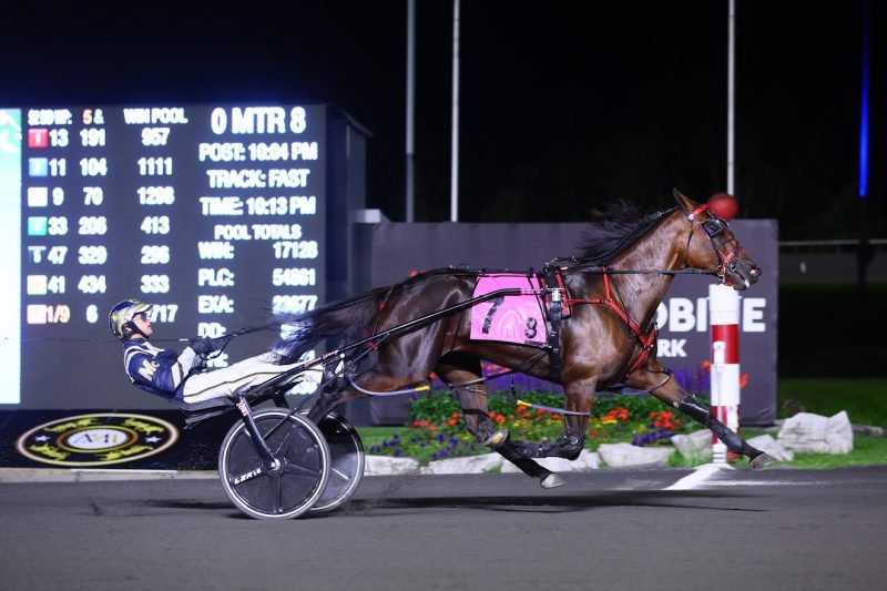 Sylvia Hanover and driver Bob McClure winning the first division of the Simcoe Stakes on September 9, 2023 at Woodbine Mohawk Park (New Image Media)