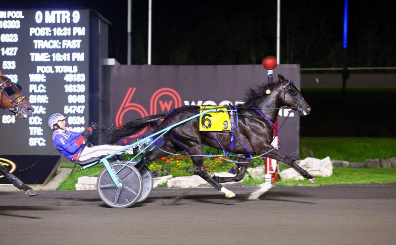 Clever Cody winning an elimination of the Metro Pace. (New Image Media)