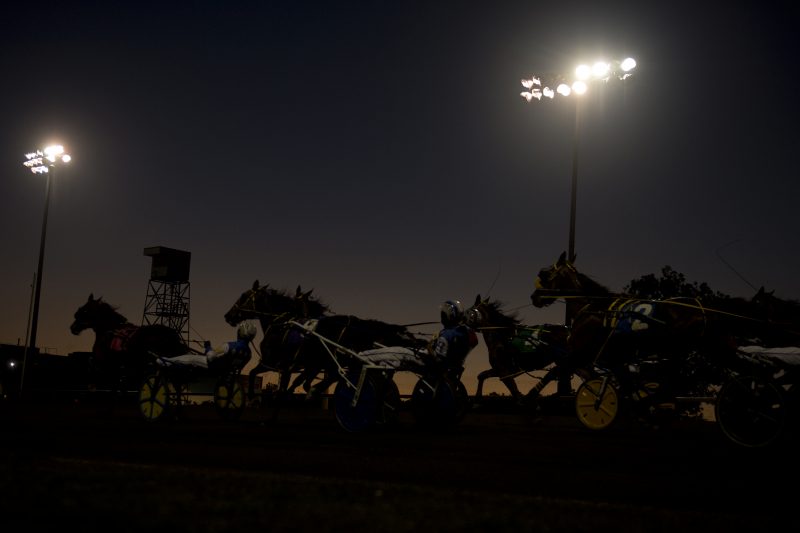 Live racing under the lights at Woodbine Mohawk Park.