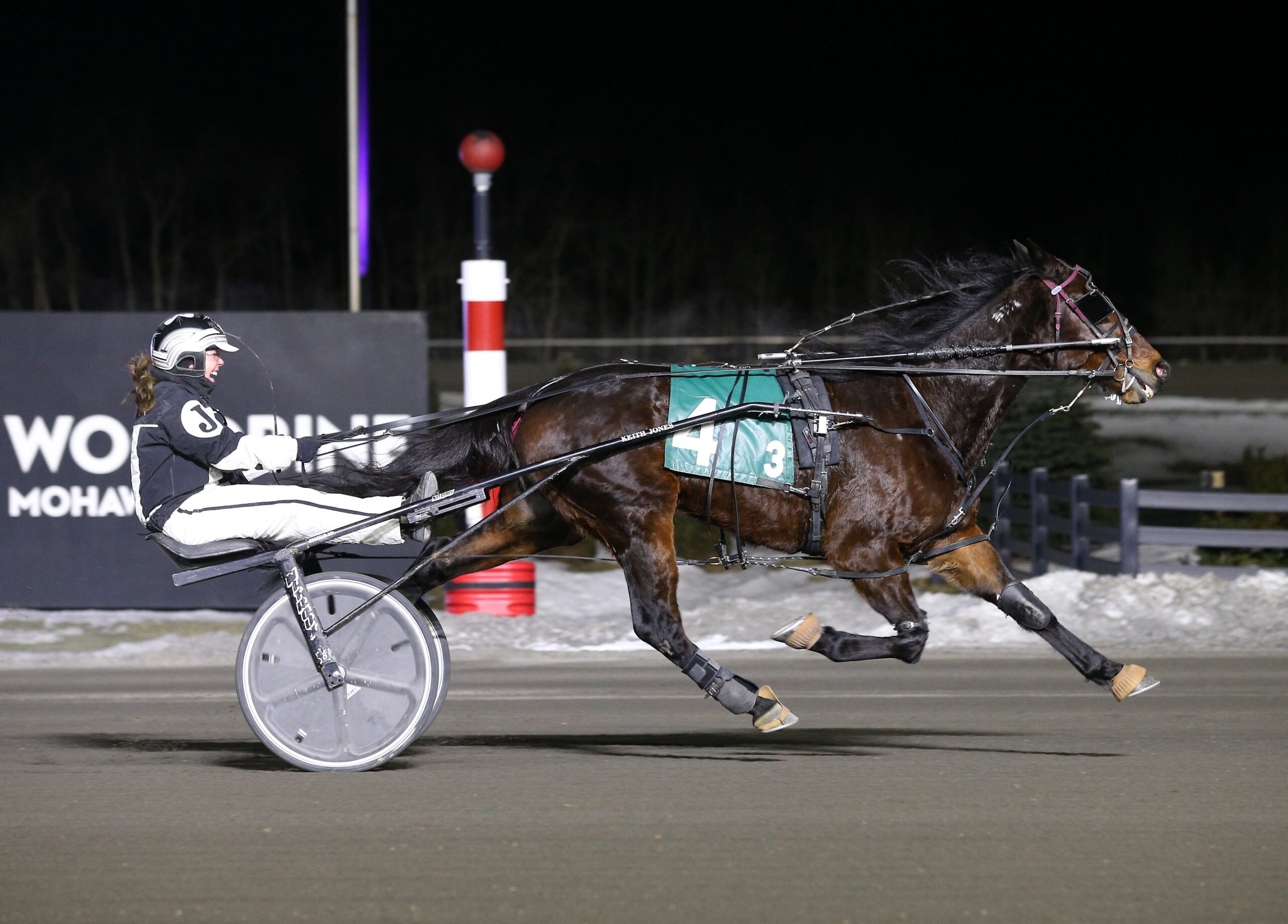 International Women's Day Race March 8, 2026 At Woodbine Mohawk Park Winner From 2025